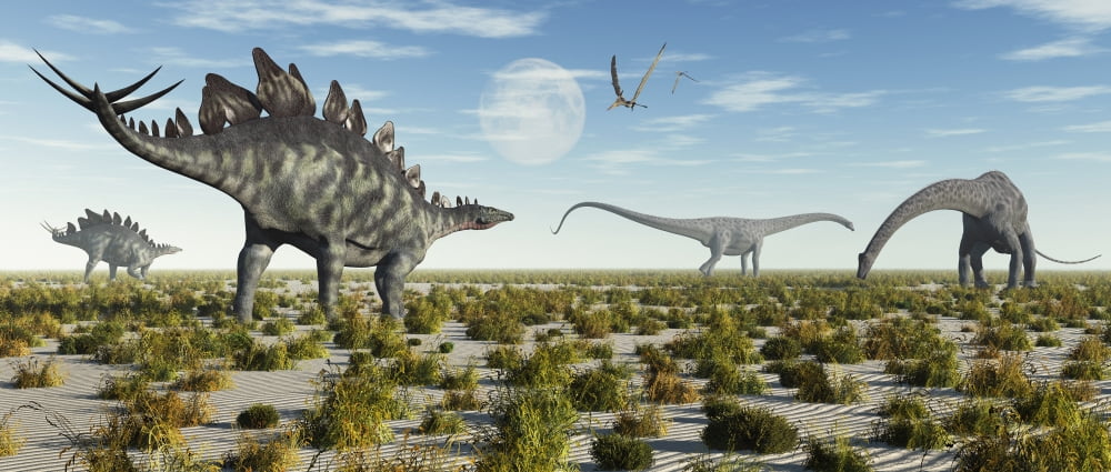A mixed herd of Stegosaurus and Diplodocus dinosaurs Canvas Art - Mark StevensonStocktrek Images (43 x 19)