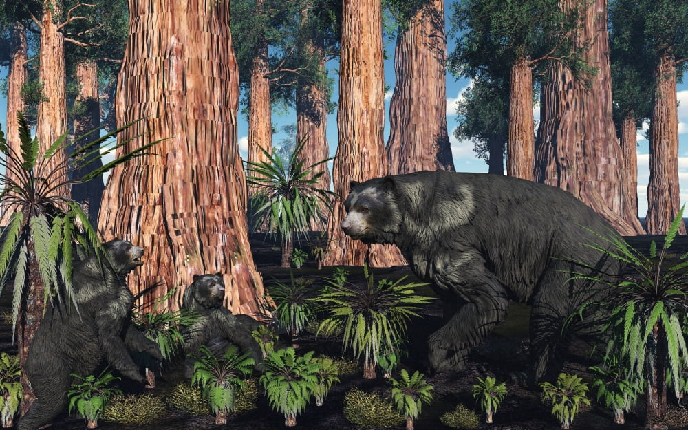 A mother Arctodus bear with her twin cubs Canvas Art - Mark StevensonStocktrek Images (36 x 23)