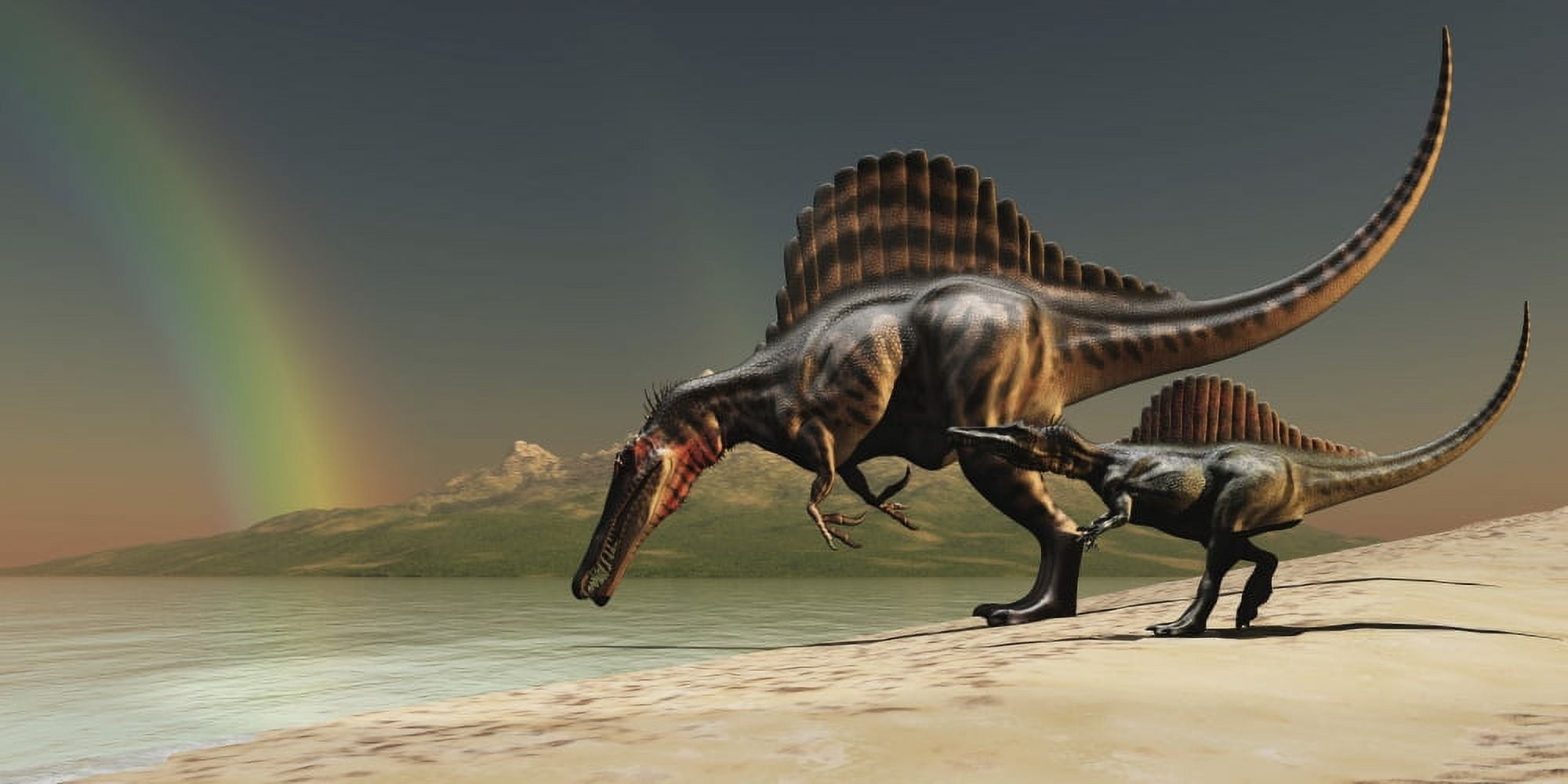 A mother Spinosaurus brings her offspring to a lake for a drink of water Canvas Art - Corey FordStocktrek Images (40 x 20)