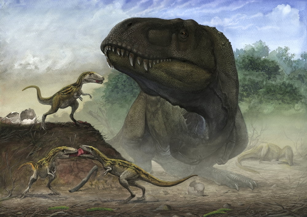 A mother Zhuchengtyrannus magnus with her offspring Canvas Art - Sergey KrasovskiyStocktrek Images (34 x 24)