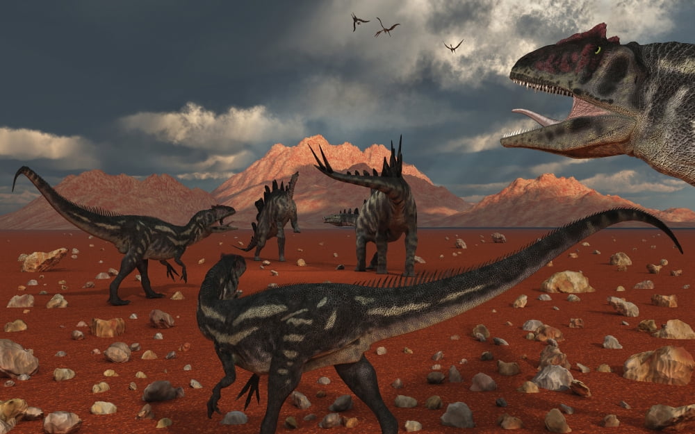 A pack of Allosaurus dinosaurs track down a pair of Stegosaurus Canvas Art - Mark StevensonStocktrek Images (18 x 12)