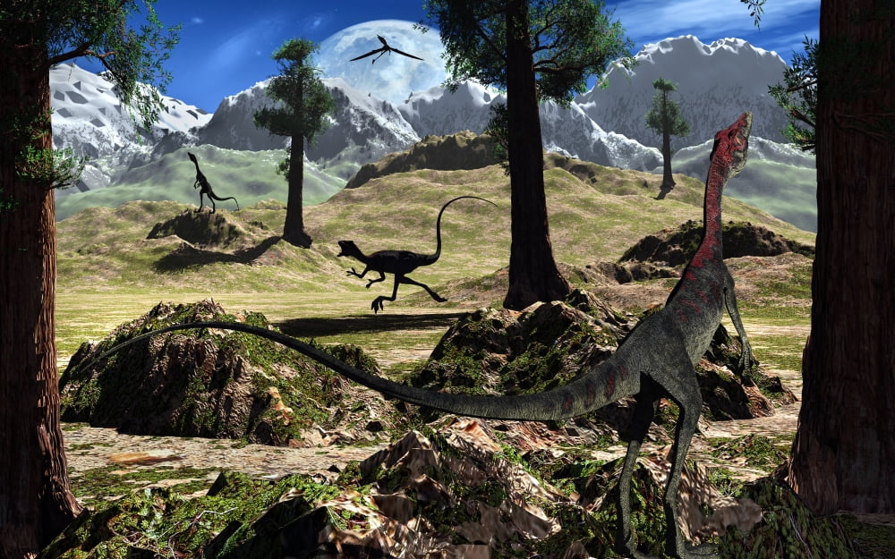 A pack of Compsognathus dinosaurs searching for their next meal Canvas Art - Mark StevensonStocktrek Images (36 x 23)