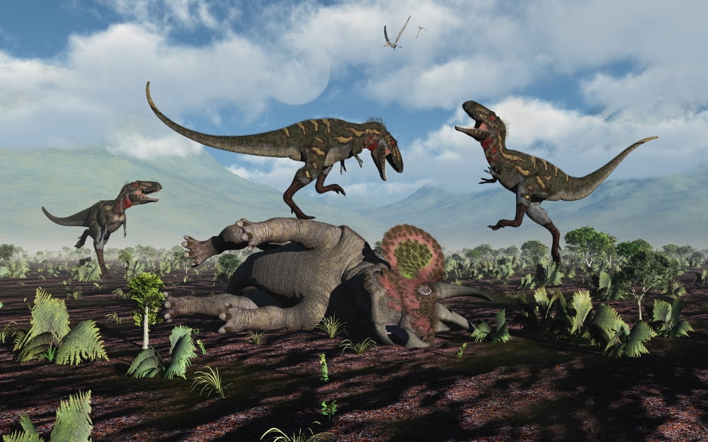 A pack of Nanotyrannus dinosaurs attacking a lone Triceratops Canvas Art - Mark StevensonStocktrek Images (36 x 23)