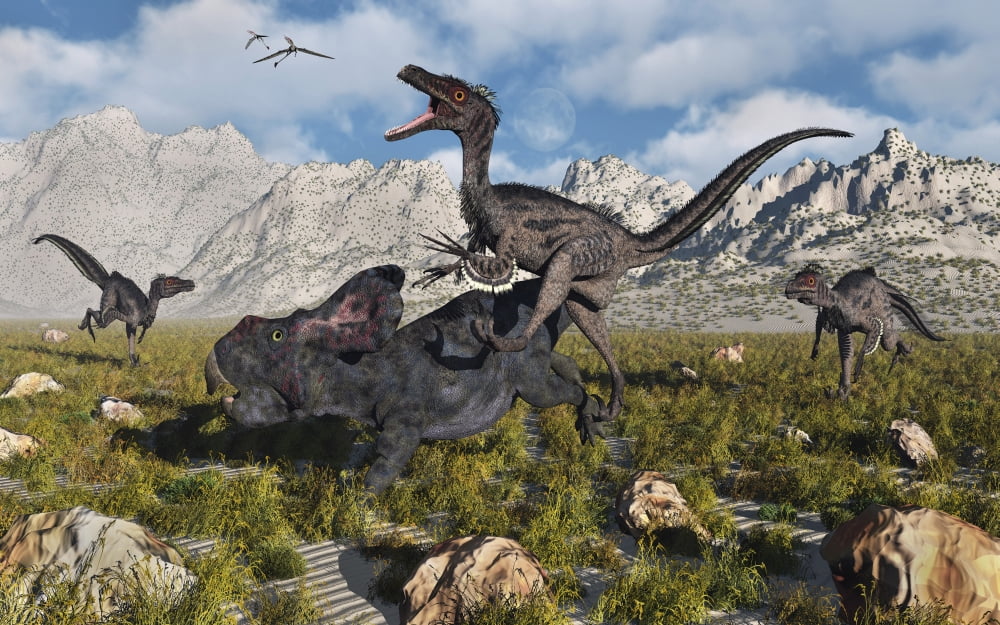A pack of Velociraptors attack a lone Protoceratops Canvas Art - Mark StevensonStocktrek Images (18 x 12)