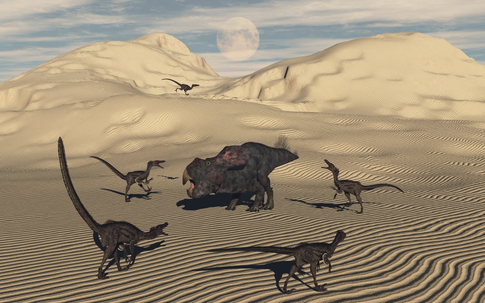 A pack of Velociraptors encircling a lone Protoceratops Canvas Art - Mark StevensonStocktrek Images (18 x 12)
