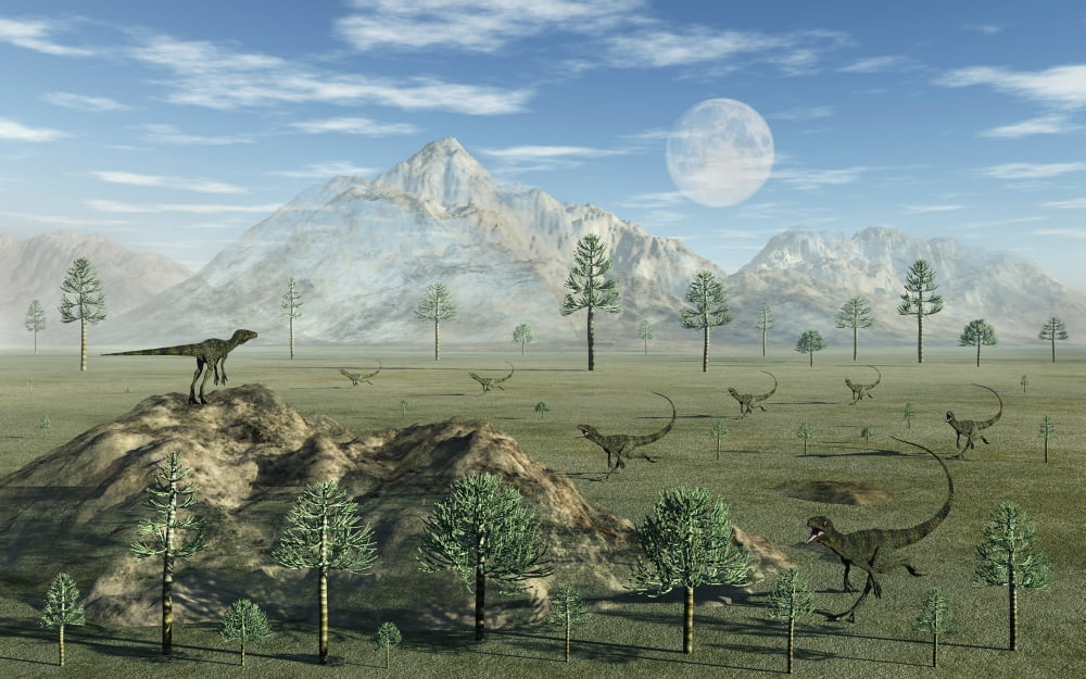 A pack of carnivorous Juravenators during the Jurassic Period Canvas Art - Mark StevensonStocktrek Images (18 x 12)