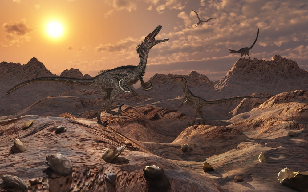 A pack of carnivorous Velociraptors from the Cretaceous period on Earth Canvas Art - Mark StevensonStocktrek Images (36 x 23)