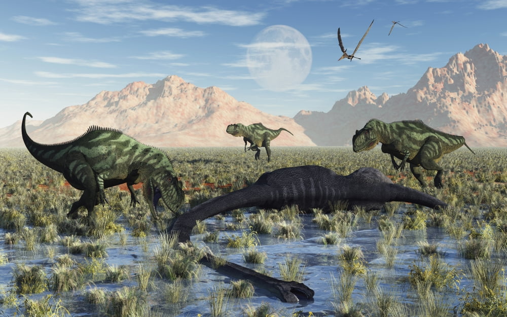 A pack of carnivorous Yangchuanosarurs make a meal of a dead Omeisaurus Canvas Art - Mark StevensonStocktrek Images (18 x 12)
