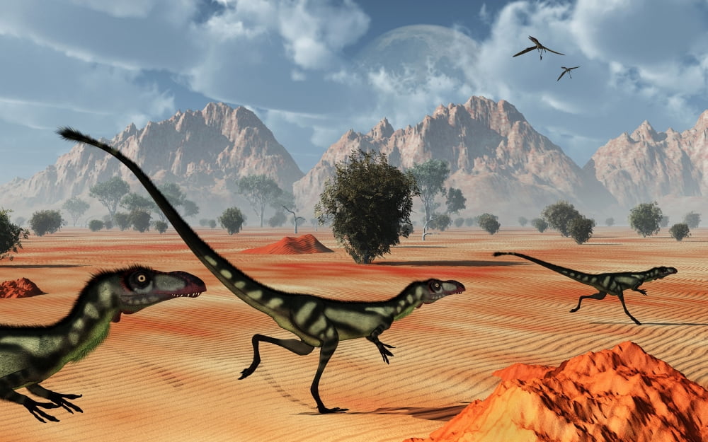 A pack of dilong tyrannosaurid dinosaurs hunting Canvas Art - Mark StevensonStocktrek Images (18 x 12)