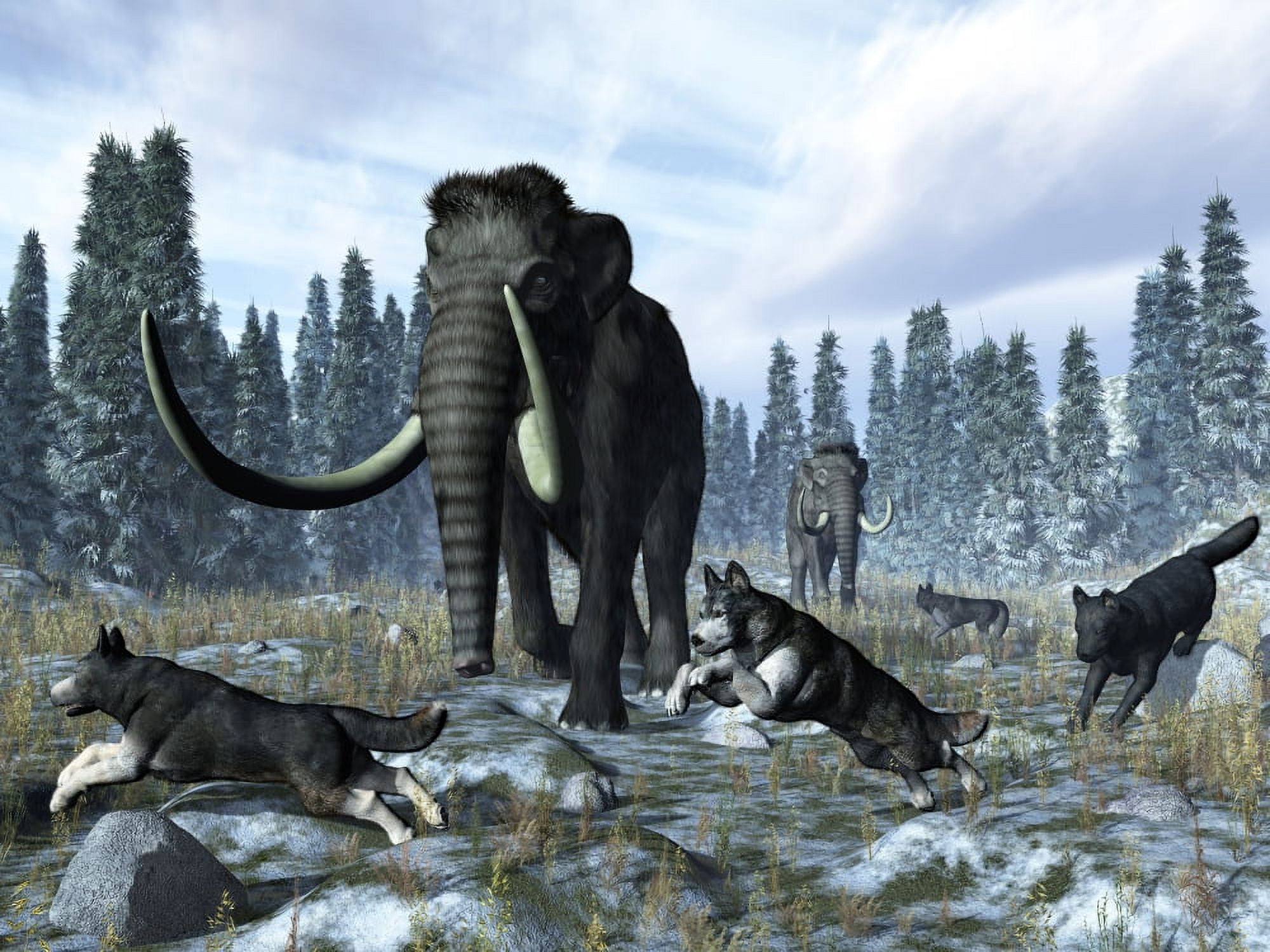 A pack of dire wolves crosses paths with two mammoths during the Upper Pleistocene Epoch Canvas Art - Walter MyersStocktrek Images (33 x 25)
