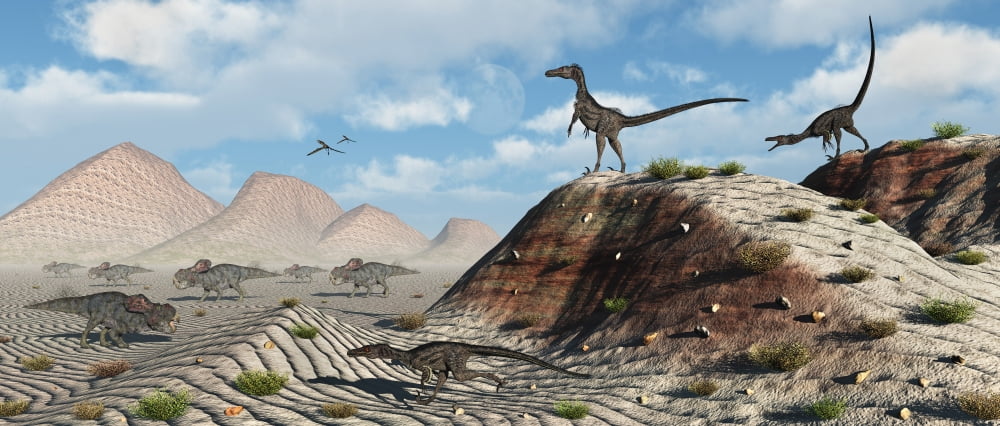 A pack of velociraptors stalking a herd of Protoceratops Canvas Art - Mark StevensonStocktrek Images (44 x 19)