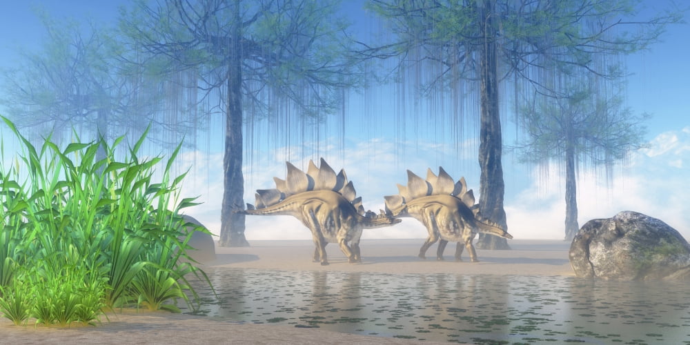 A pair Stegosaurus walking near a pond on a Jurassic misty morning Canvas Art - Corey FordStocktrek Images (40 x 20)