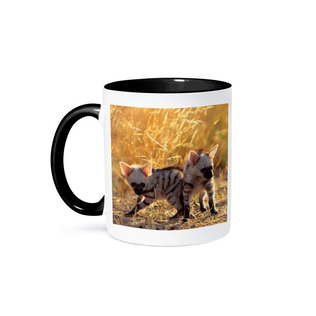 3dRose, A pair of Aardwolf cubs at play., 11oz Two-Tone Black Mug