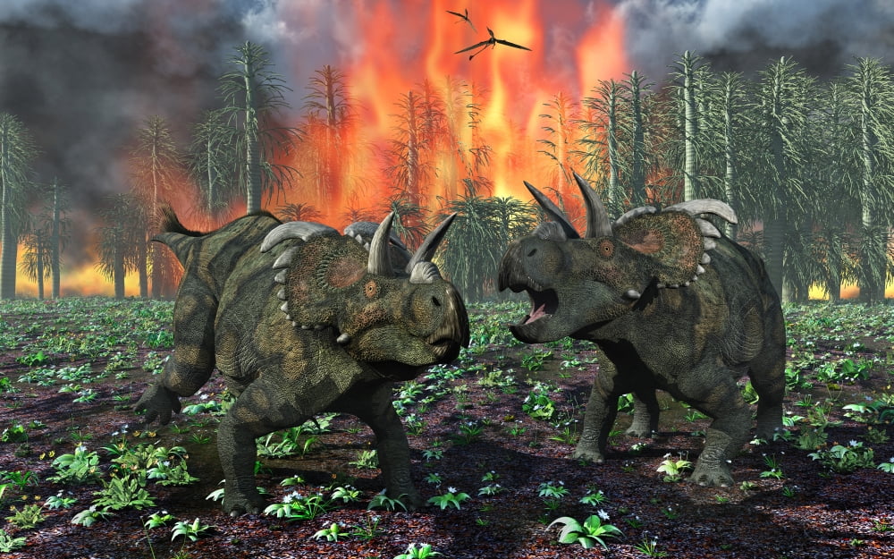 A pair of Albertaceratops running away from a forest fire Canvas Art - Mark StevensonStocktrek Images (36 x 23)