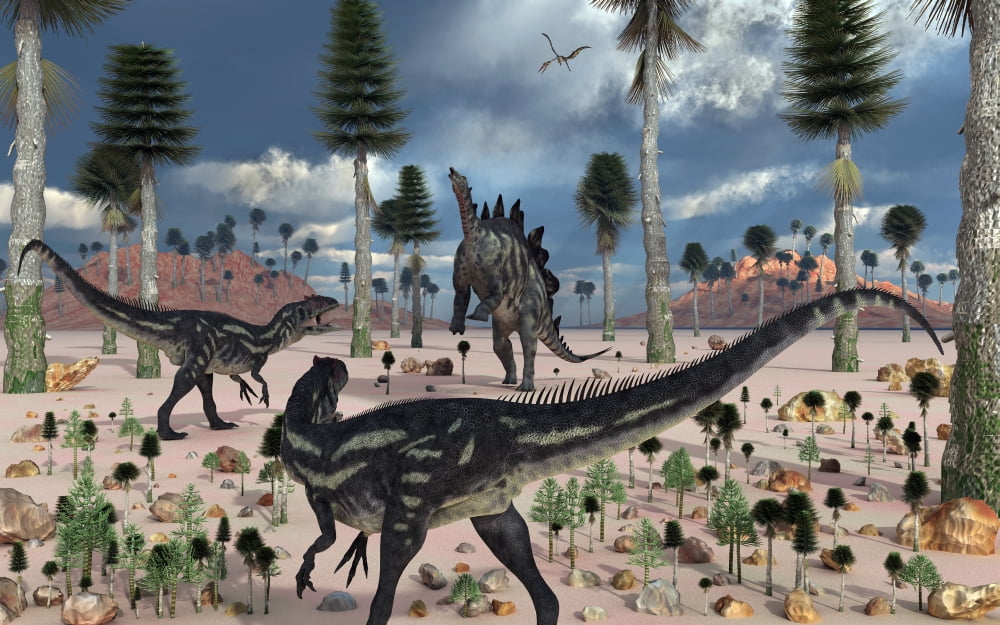 A pair of Allosaurus dinosaurs confront a lone Stegosaurus Canvas Art - Mark StevensonStocktrek Images (36 x 23)