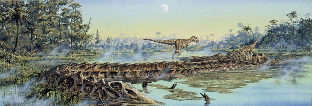 A pair of Allosaurus dinosaurs explore the remains of a Diplodocus carcass Canvas Art - Mark HallettStocktrek Images (24 x 9)