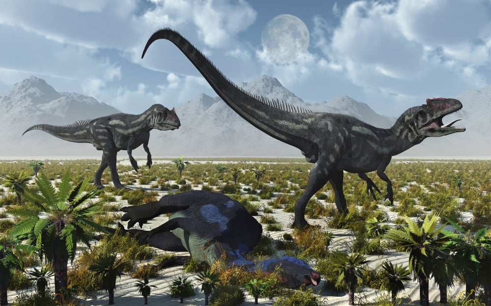 A pair of Allosaurus dinosaurs kill a Camptosaurus dinosaur Canvas Art - Mark StevensonStocktrek Images (18 x 12)