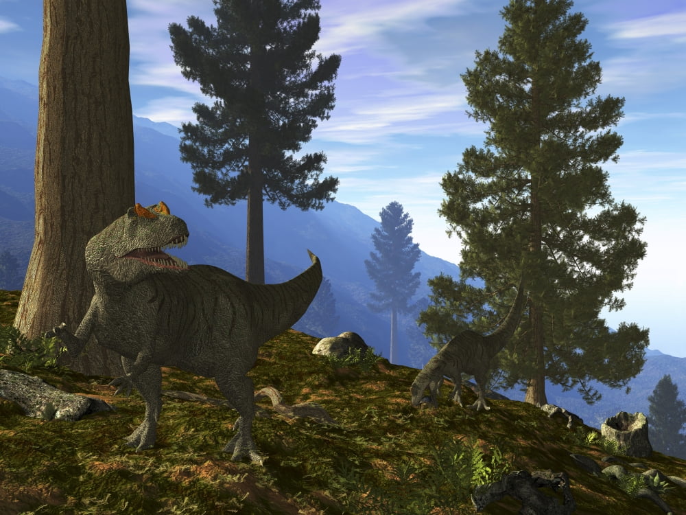 A pair of Allosaurus search for a meal along a mountainside forest Canvas Art - Walter MyersStocktrek Images (17 x 13)