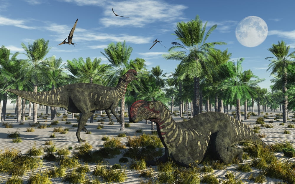 A pair of Altirhinus dinosaurs Canvas Art - Mark StevensonStocktrek Images (36 x 23)