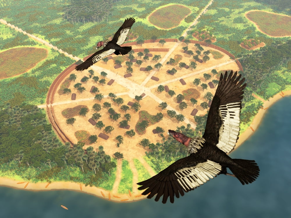 A pair of Andean Condors fly over an Amazonian village Canvas Art - Walter MyersStocktrek Images (17 x 13)