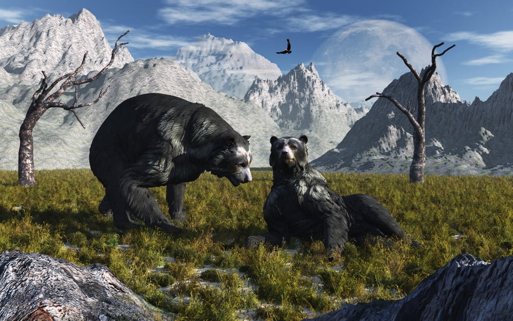 A pair of Arctodus bears courting each other Canvas Art - Mark StevensonStocktrek Images (18 x 12)