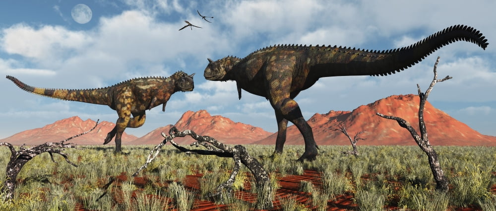 A pair of Carnotaurus dinosaurs in a territorial dispute Canvas Art - Mark StevensonStocktrek Images (43 x 19)