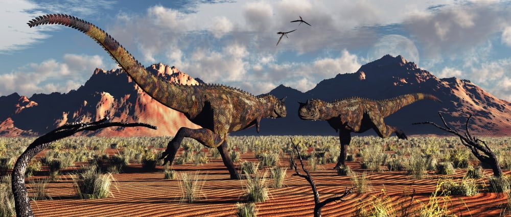A pair of Carnotaurus dinosaurs in a territorial dispute Canvas Art - Mark StevensonStocktrek Images (43 x 19)