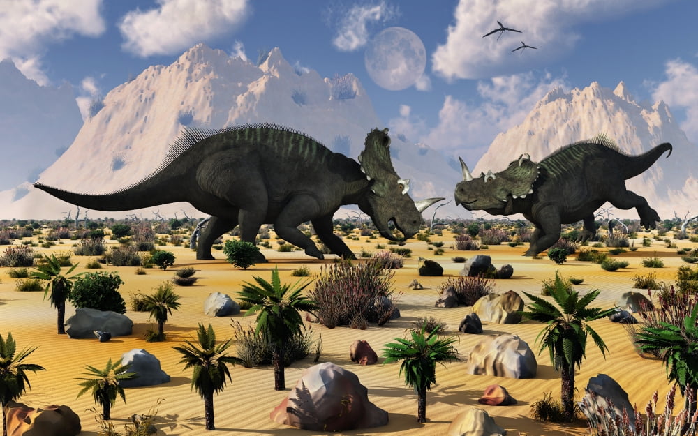 A pair of Centrosaurus dinosaurs involved in a territorial dispute Canvas Art - Mark StevensonStocktrek Images (36 x 23)