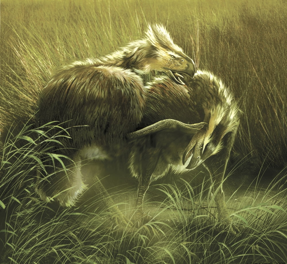A pair of Diatryma flightless birds in a field Canvas Art - Jan SovakStocktrek Images (29 x 27)