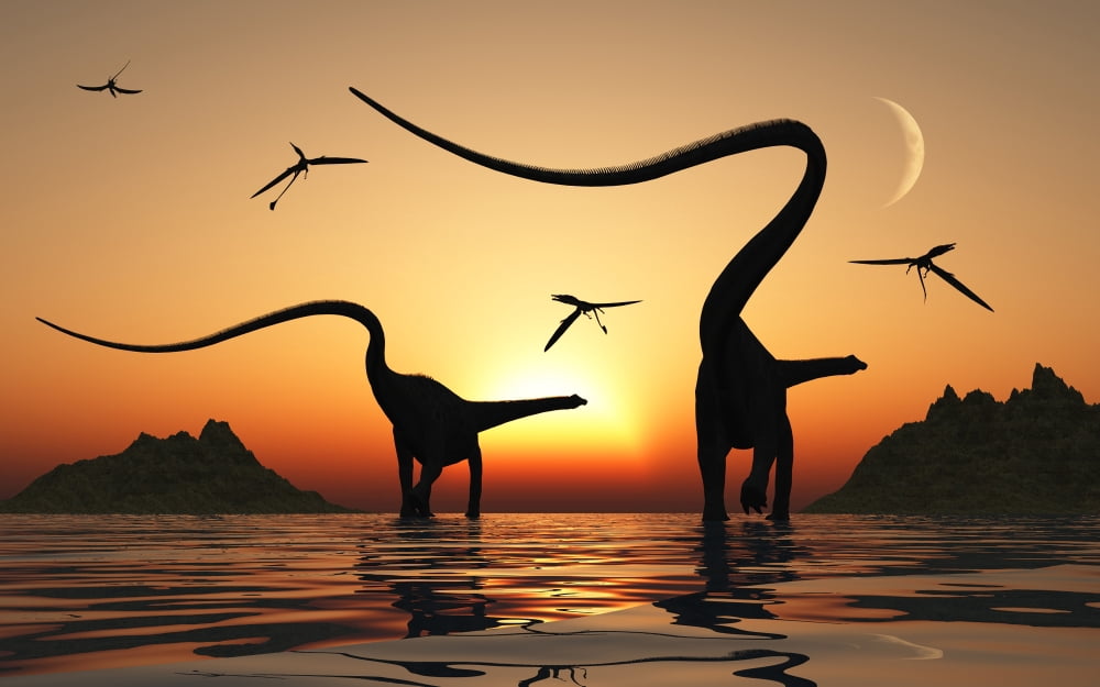 A pair of Diplodocus dinosaurs during Earths Jurassic Period of time Canvas Art - Mark StevensonStocktrek Images (18 x 12)