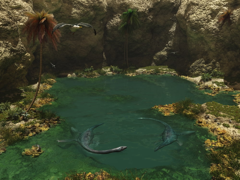 A pair of Elasmosaurus engage in a swimming courtship dance Canvas Art - Walter MyersStocktrek Images (17 x 13)
