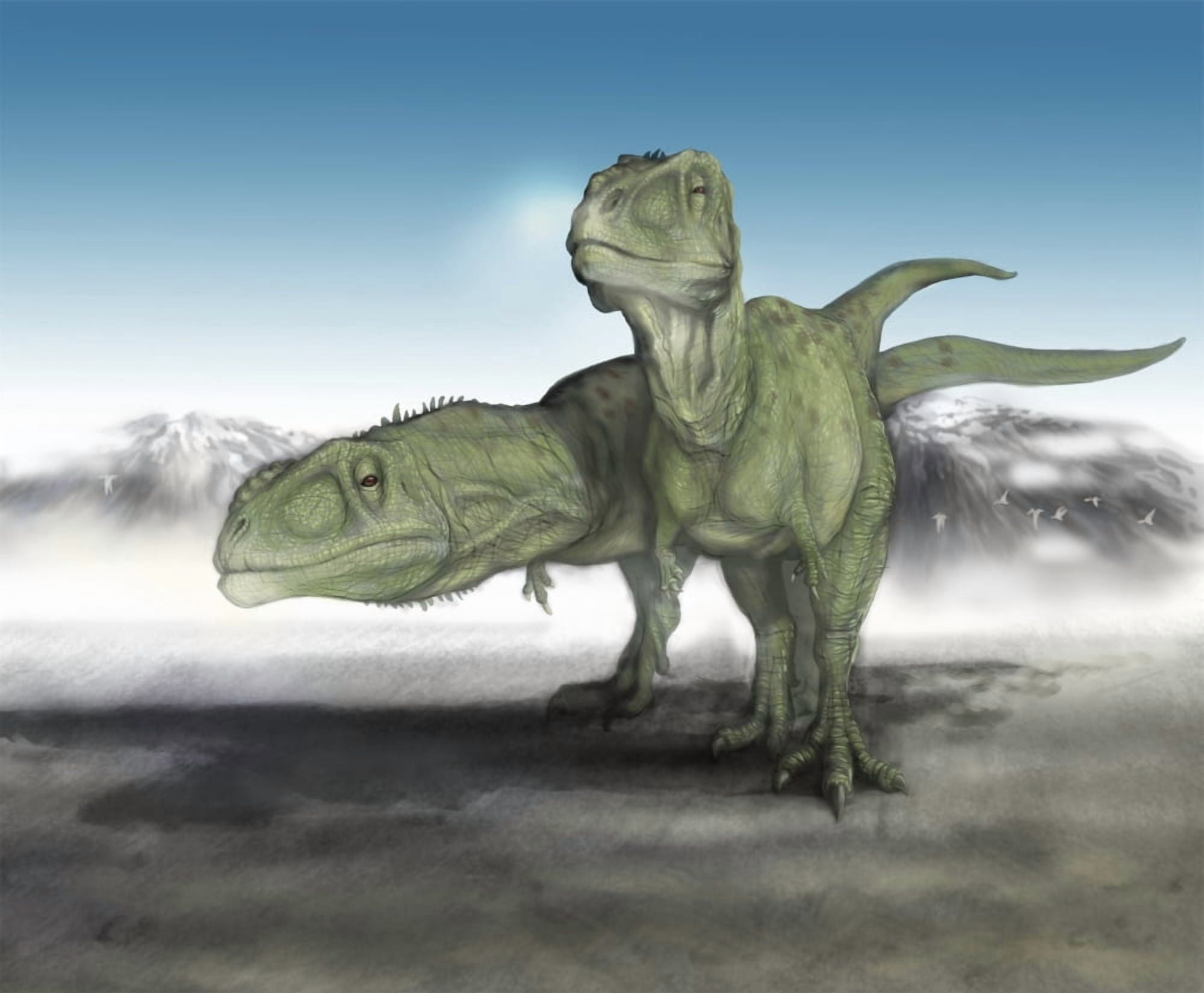 A pair of Giganotosaurus make their way across a volcanic landscape Canvas Art - Alice TurnerStocktrek Images (16 x 13)