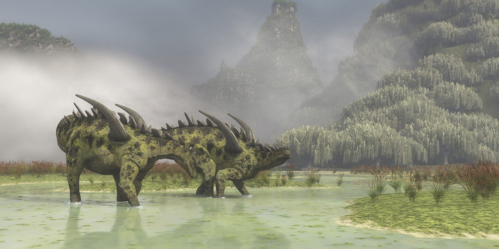 A pair of Gigantspinosaurus dinosaurs roaming in the wetlands of China Canvas Art - Corey FordStocktrek Images (20 x 10)