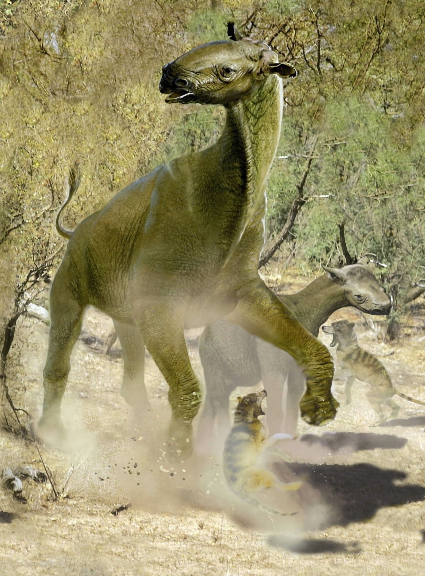 A pair of Indricotherium being pesterd by small hyena-like dogs Canvas Art - Jan SovakStocktrek Images (24 x 32)
