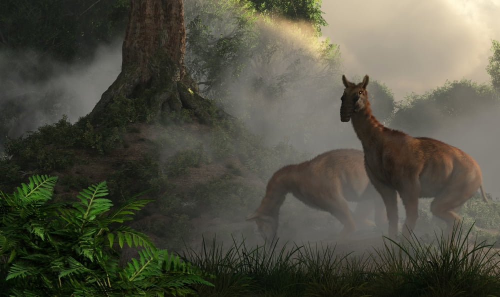 A pair of Macrauchenia grazing in a prehistoric forest Canvas Art - Daniel EskridgeStocktrek Images (19 x 11)