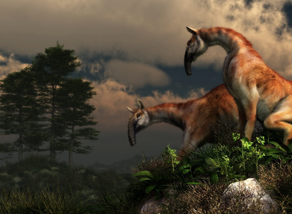 A pair of Macrauchenia on a hillside Canvas Art - Daniel EskridgeStocktrek Images (33 x 24)