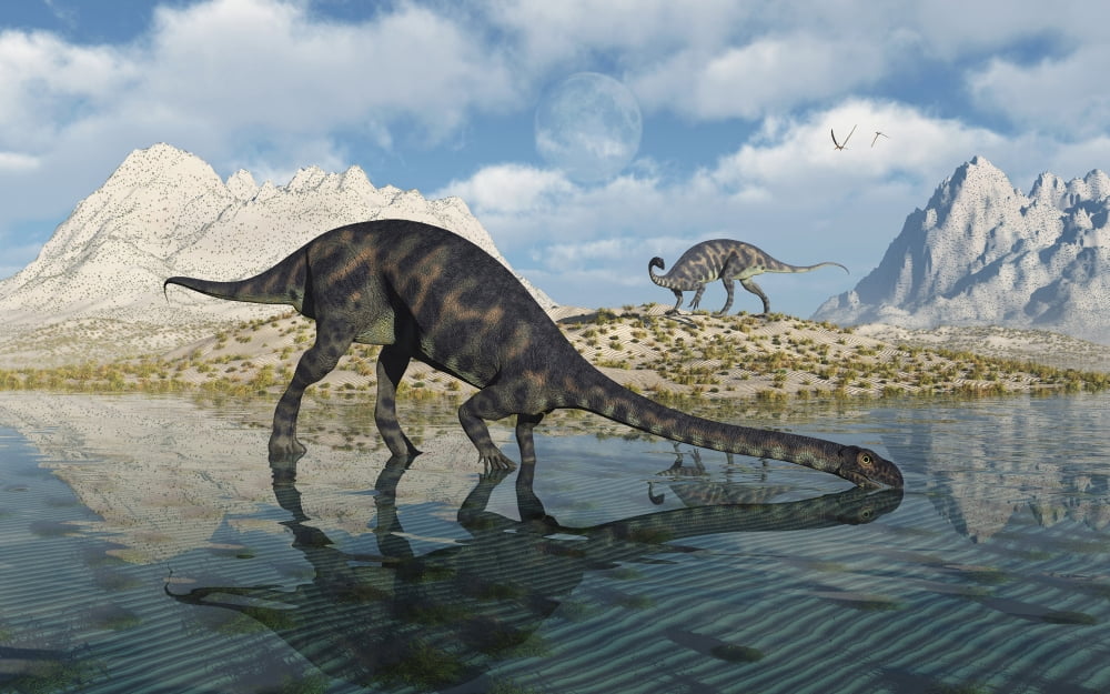 A pair of Massospondylus at a watering hole Canvas Art - Mark StevensonStocktrek Images (36 x 23)