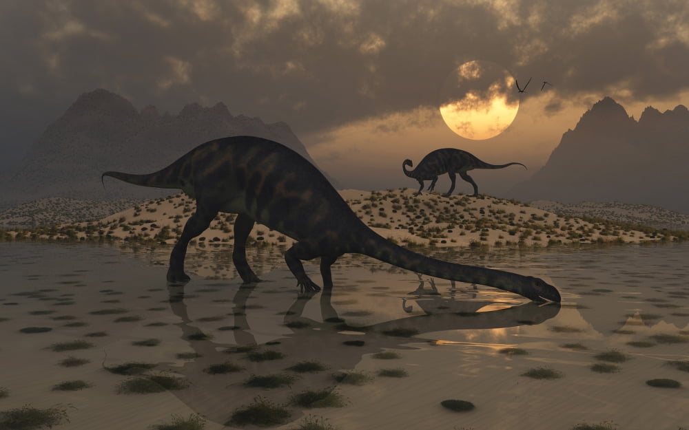 A pair of Massospondylus at a watering hole Canvas Art - Mark StevensonStocktrek Images (36 x 23)