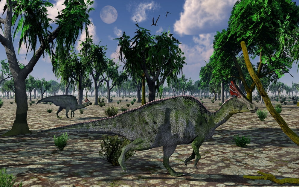 A pair of Olorotitan duckbilled dinosaurs on the move Canvas Art - Mark StevensonStocktrek Images (18 x 12)