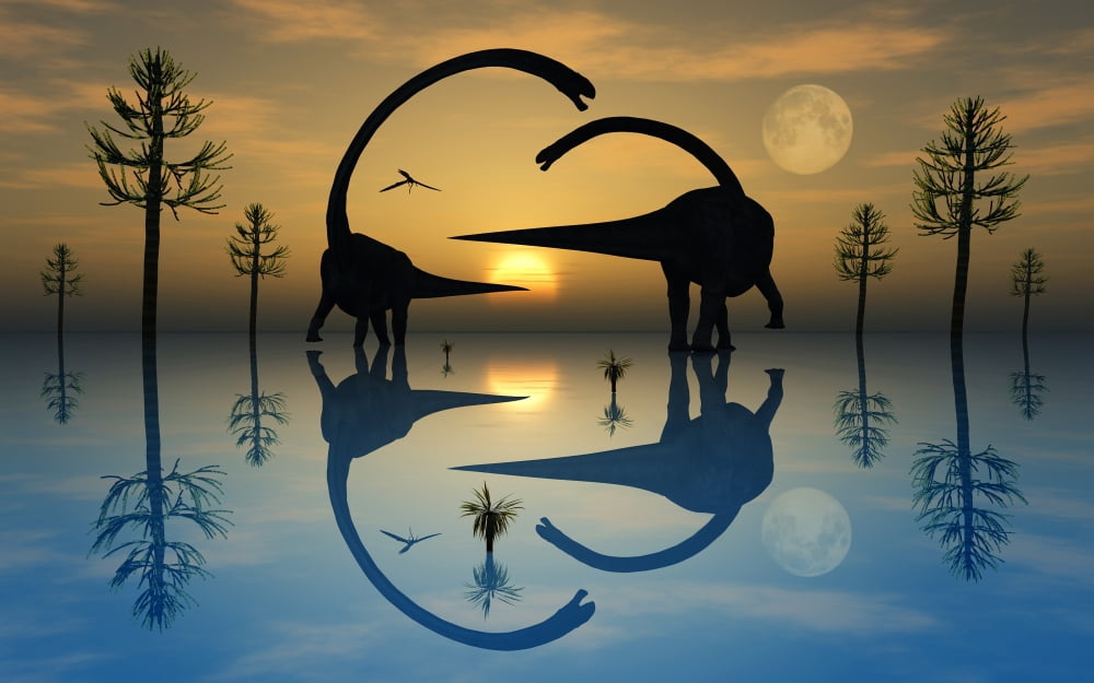 A pair of Omeisaurus dinosaurs involved in courtship rituals Canvas Art - Mark StevensonStocktrek Images (18 x 12)