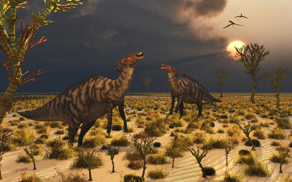 A pair of Parasaurolophus duckbill dinosaurs Canvas Art - Mark StevensonStocktrek Images (36 x 23)