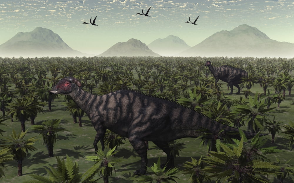 A pair of Parasaurolophus walk through the Cretaceous landscape Canvas Art - Mark StevensonStocktrek Images (18 x 12)