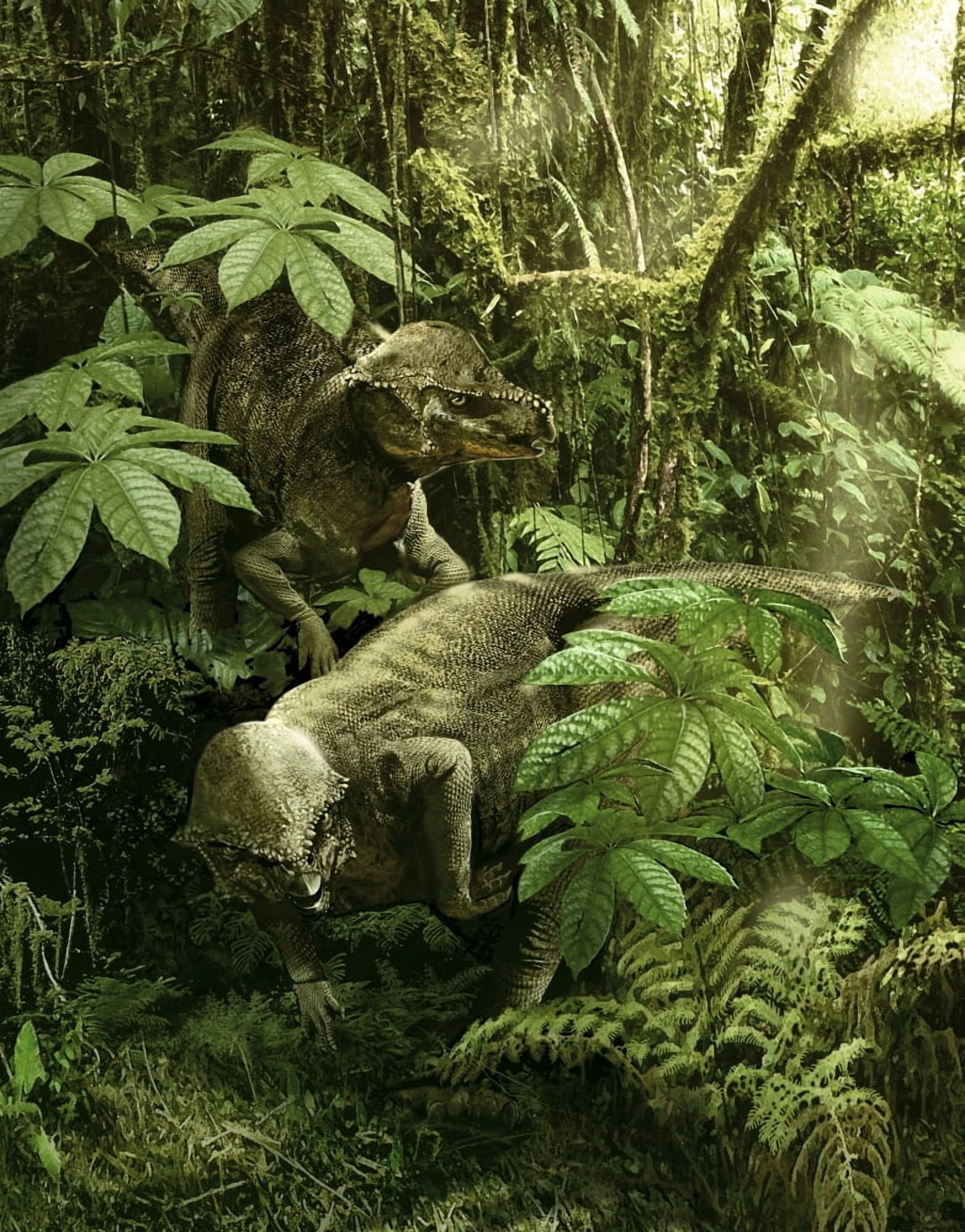 A pair of Prenocephale foraging on seed and plants of a Cretaceous forest Canvas Art - Jan SovakStocktrek Images (13 x 16)