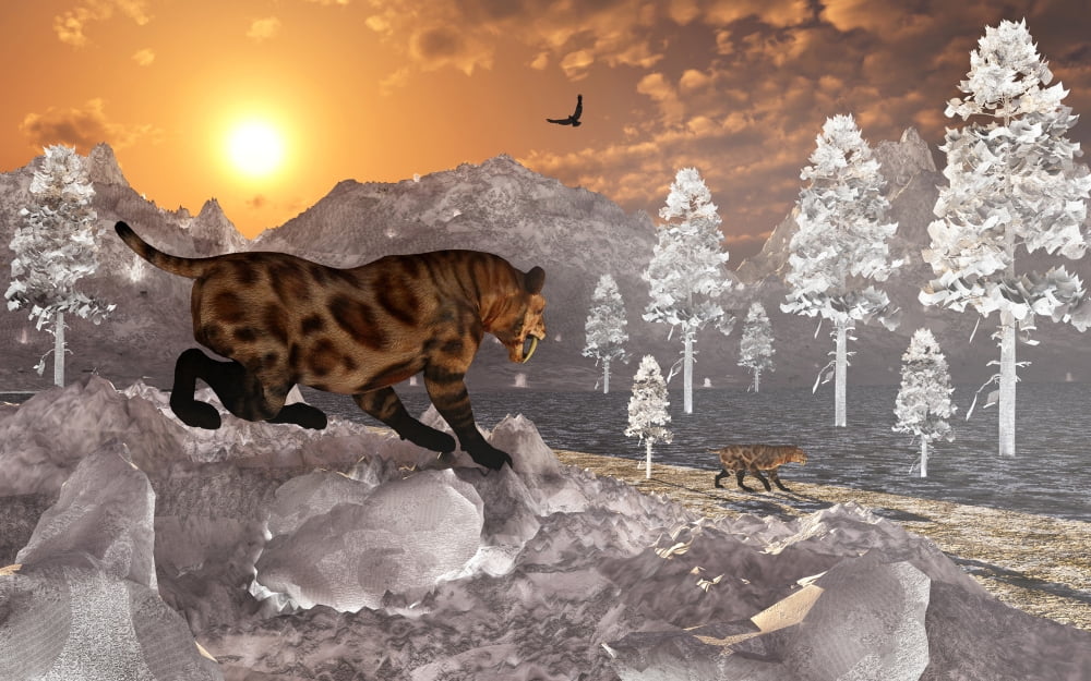 A pair of Sabre Tooth Tigers experience the first signs of winter Canvas Art - Mark StevensonStocktrek Images (18 x 12)