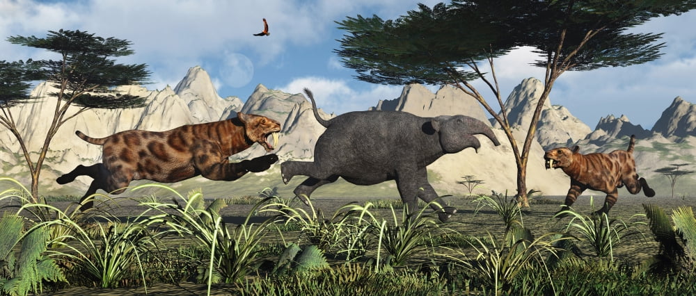 A pair of Sabre-Toothed Tigers chasing a young Deinotherium Canvas Art - Mark StevensonStocktrek Images (22 x 10)