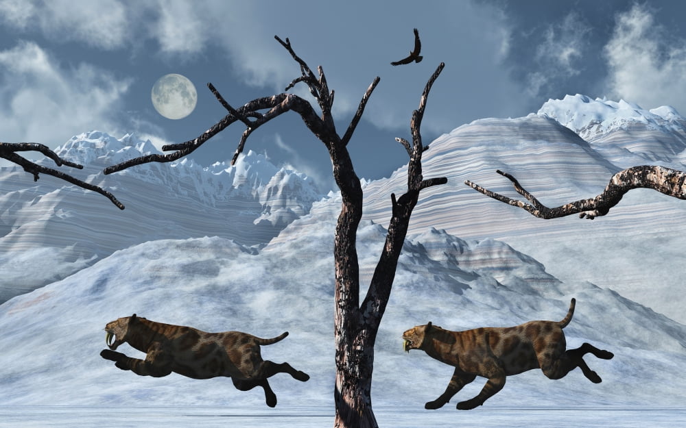 A pair of Sabre-Toothed Tigers giving chase to their next meal Canvas Art - Mark StevensonStocktrek Images (18 x 12)