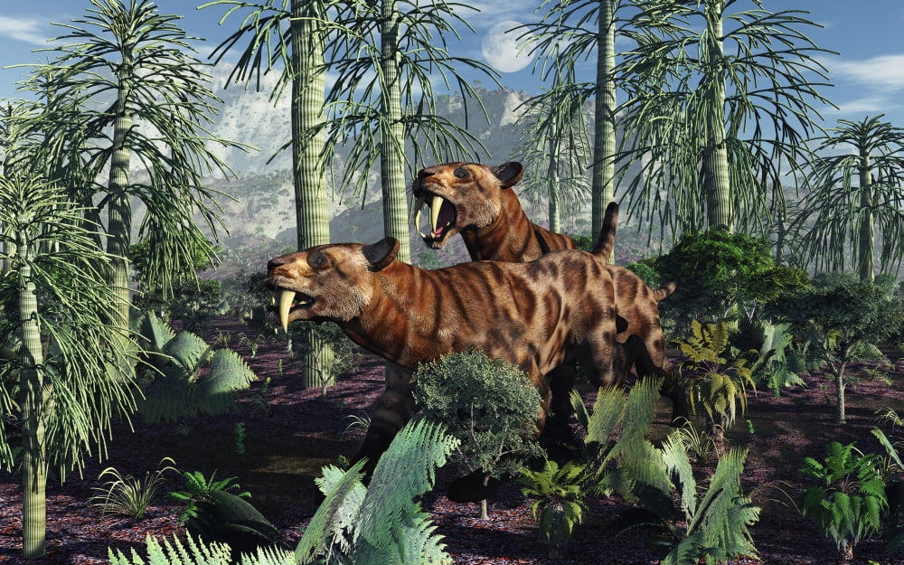 A pair of Sabre-Toothed Tigers hunting during the Pleistocene period of time Canvas Art - Mark StevensonStocktrek Images (18 x 12)