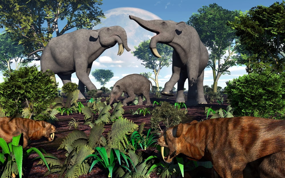 A pair of Sabre-Toothed Tigers stalking a family of Deinotherium Canvas Art - Mark StevensonStocktrek Images (36 x 23)