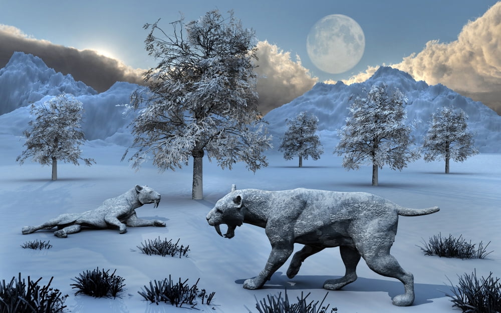 A pair of Sabre-Toothed Tigers surviving a prehistoric winter Canvas Art - Mark StevensonStocktrek Images (36 x 23)