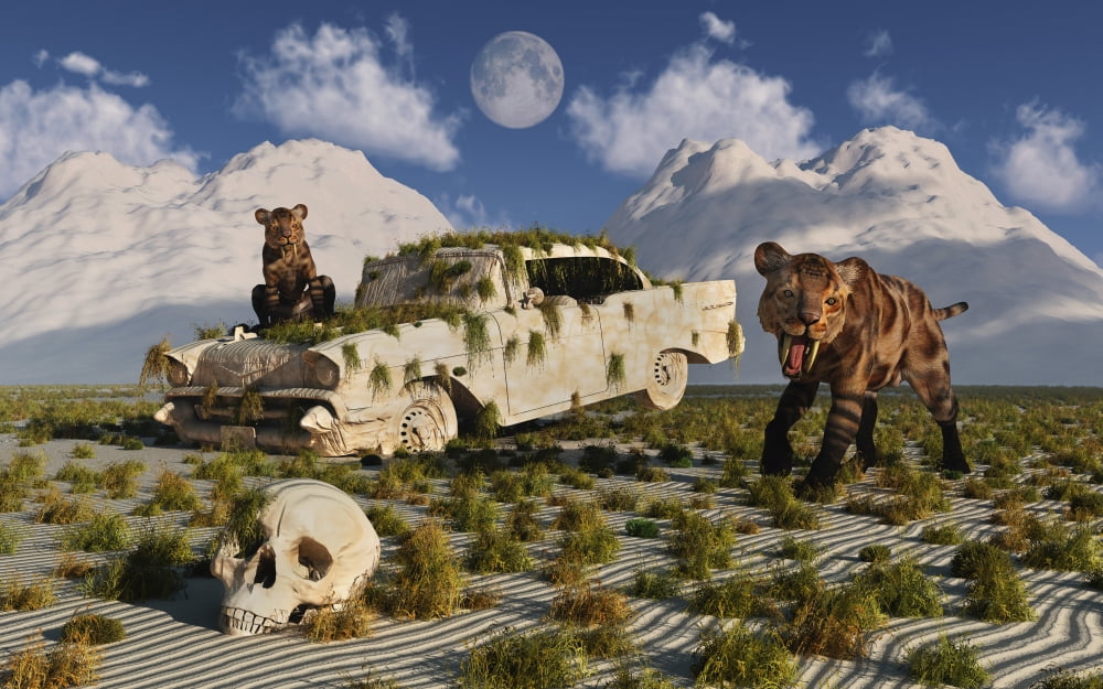 A pair of Sabre-toothed Tigers come across a 1950s American Chevrolet Canvas Art - Mark StevensonStocktrek Images (18 x 12)